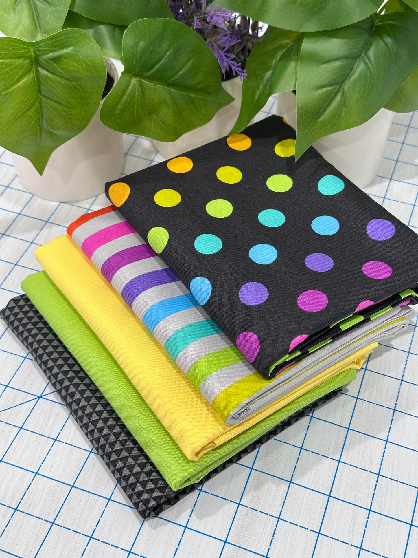 5 Yard Bundle - Tula Rainbow Dots and Stripes