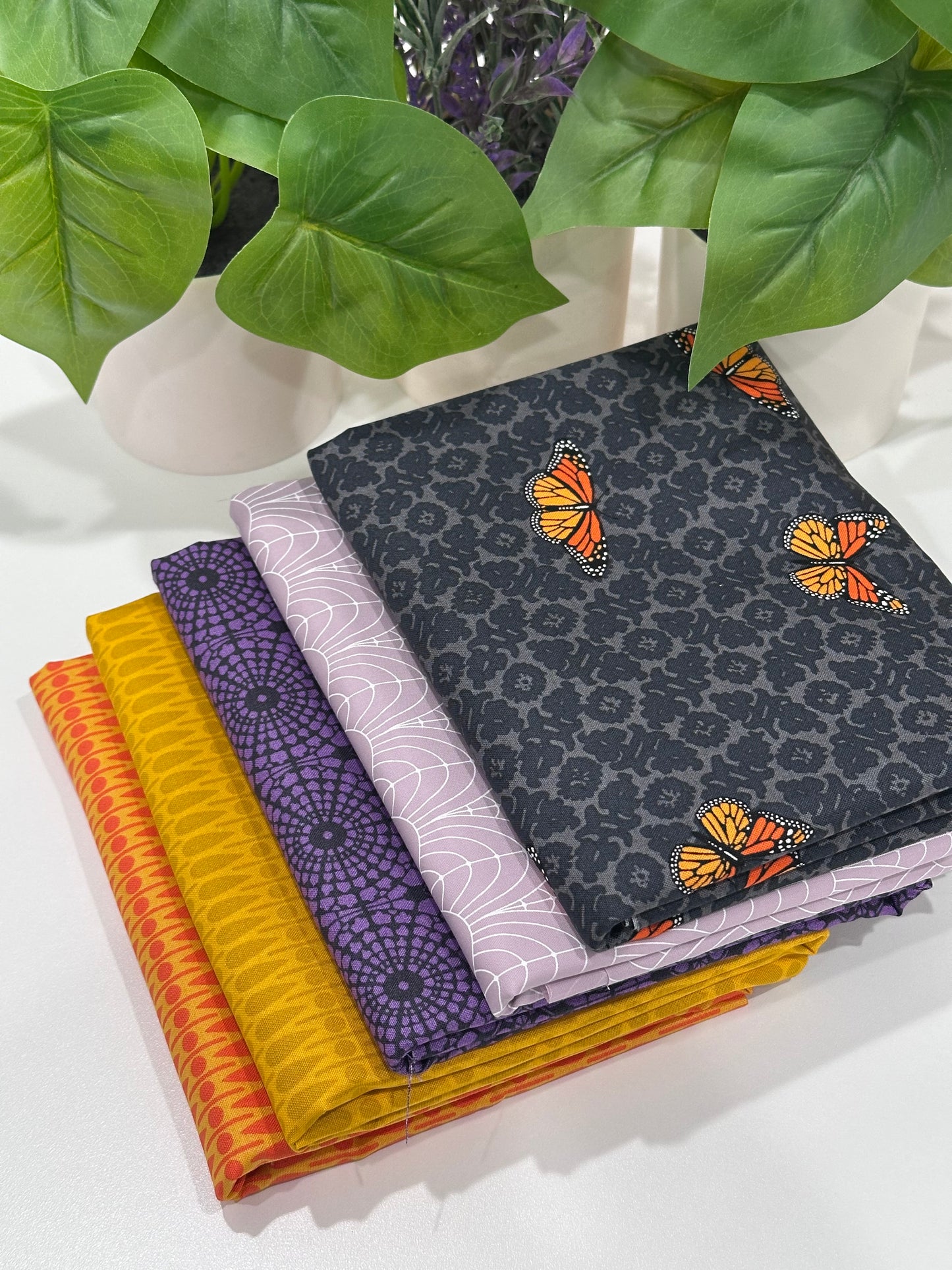 5 Yard Bundle - Mr. Bones Sews