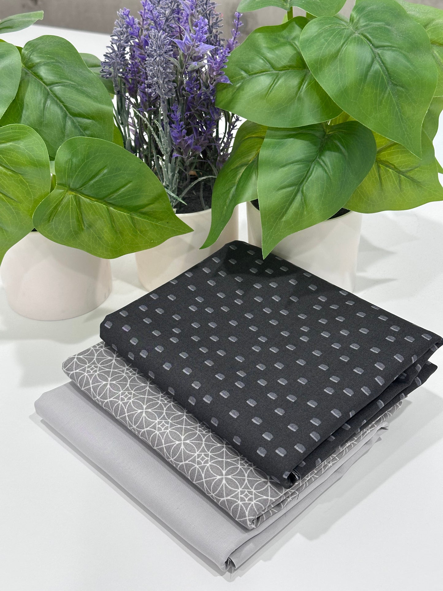 3 Yard Bundle - Cosmic Cactus