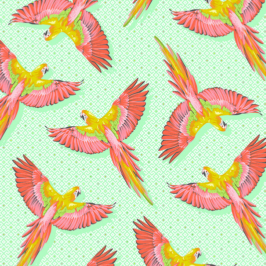 Macaw Ya Later Mango - Tula Pink