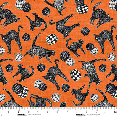 Cat Toss Orange - Studio E