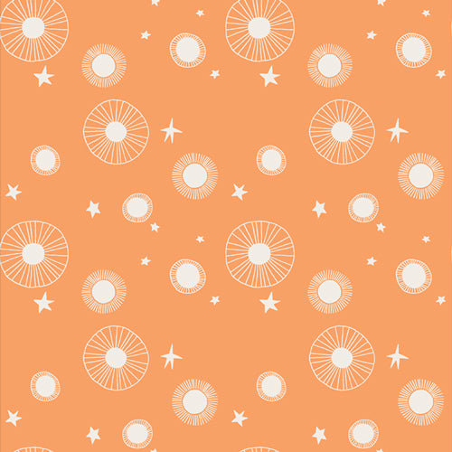 Onward and Upward Layer Cake - Art Gallery Fabrics