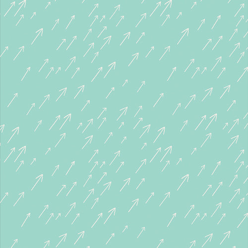 Onward and Upward Layer Cake - Art Gallery Fabrics