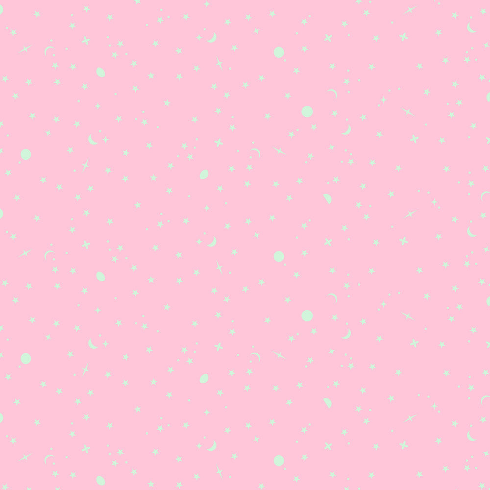 Space Sprinkles Piglet - Tula Pink