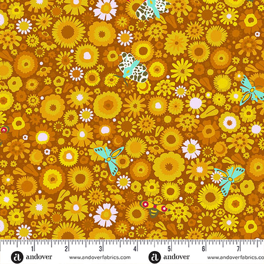 Marigold Daisy Field - Andover