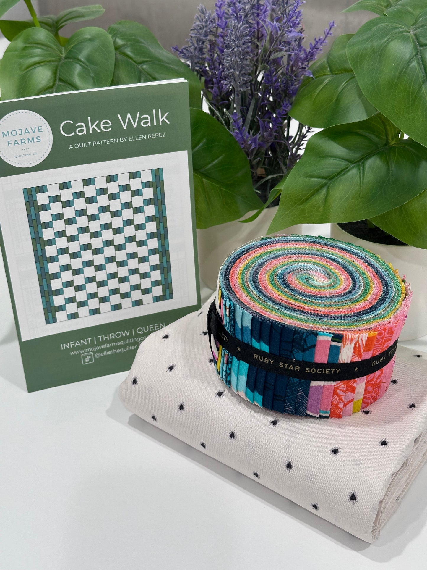 Cake Walk Quilt Kit - Ruby Star Society Poolside