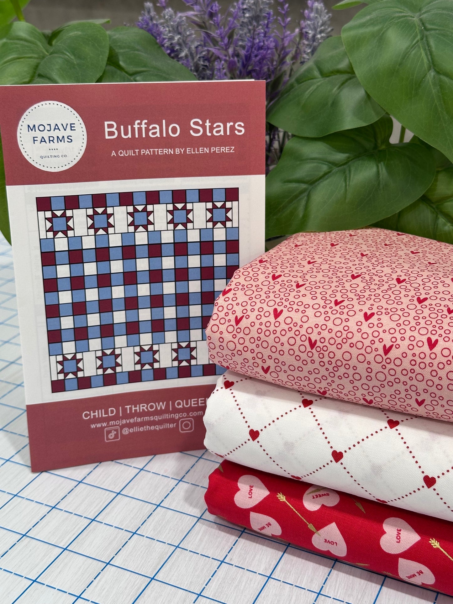 Buffalo Stars Quilt Kit - Valentine