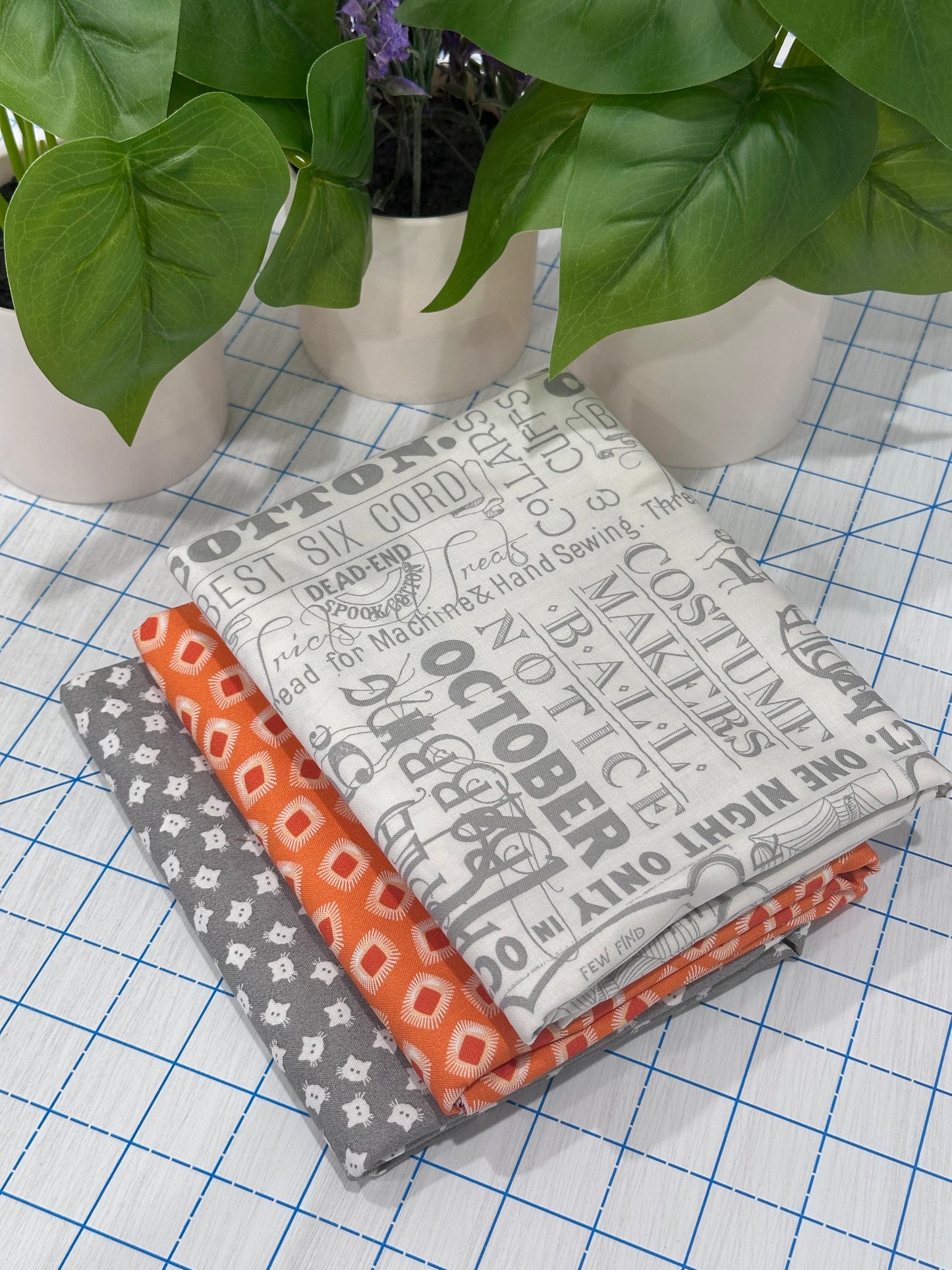 3 Yard Bundle - Scaredy Cat