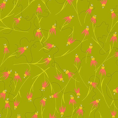 Coneflower Field - Andover