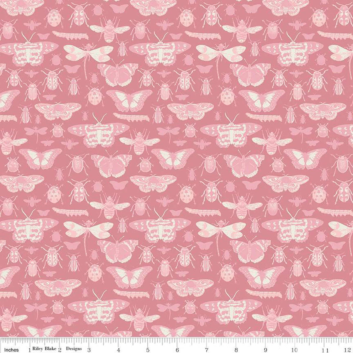 Insects Dusty Rose - Riley Blake Designs