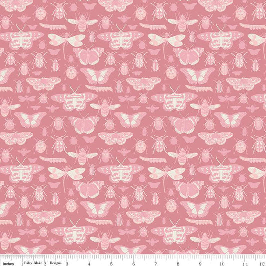 Insects Dusty Rose - Riley Blake Designs