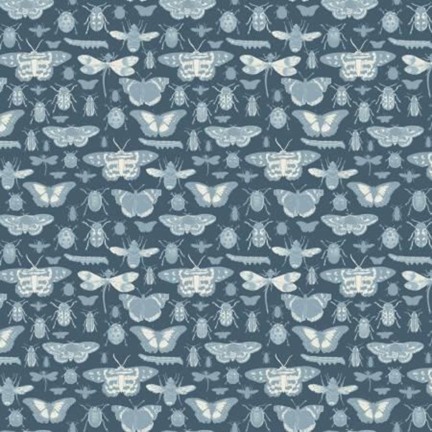 Insects Navy - Riley Blake Designs