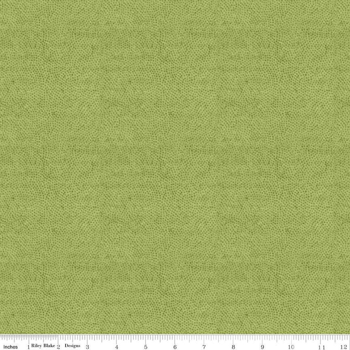 Stipple Green - Riley Blake Designs