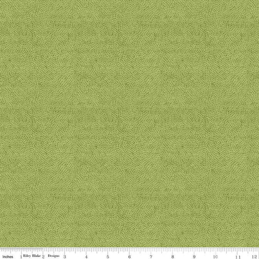 Stipple Green - Riley Blake Designs